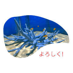 [LINEスタンプ] 僕の作った海の生き物たちのスタンプ