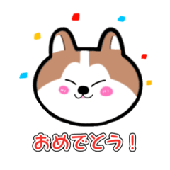 [LINEスタンプ] 秋田弁付き 可愛い秋田犬の顔スタンプ