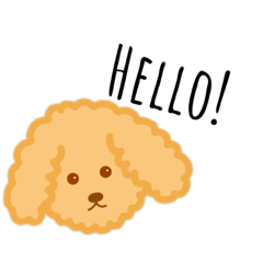 [LINEスタンプ] ♥︎Toy・Poodle♥︎stamp♥︎
