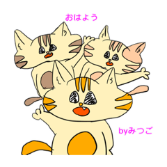 [LINEスタンプ] かわいい❗️にゃんこみつごスタンプ