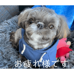[LINEスタンプ] たおたん倶楽部