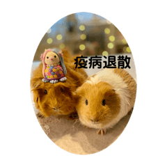 [LINEスタンプ] 癒し系モルモット♡モッチ＆パン