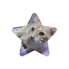 [LINEスタンプ] アキハルタマ2
