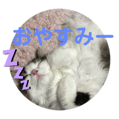[LINEスタンプ] maimaisan