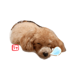 [LINEスタンプ] ラテさんのまいにち。2