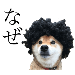 [LINEスタンプ] やまちゃんそのに
