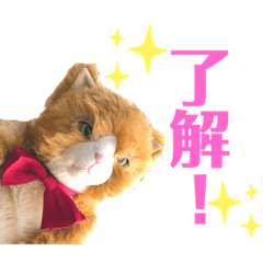 [LINEスタンプ] 隊長スタンプ【 Welina bridal】
