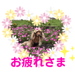 [LINEスタンプ] なな姫のまいにち