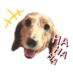 [LINEスタンプ] れもん①