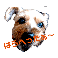 [LINEスタンプ] る   な
