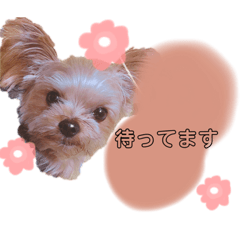 [LINEスタンプ] やまじfamilyスタンプ