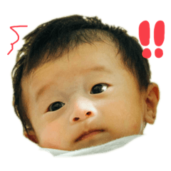 [LINEスタンプ] ヒラハラのムスコvol.1