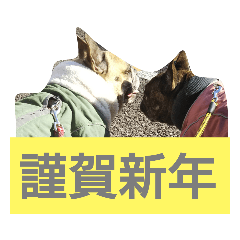 [LINEスタンプ] 年末年始・季節・誕生日 の言葉 フレブル編