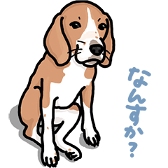 [LINEスタンプ] きなちゃん社長