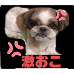 [LINEスタンプ] めいちー5