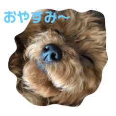 [LINEスタンプ] わん2020