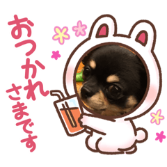 [LINEスタンプ] タンタンstamp