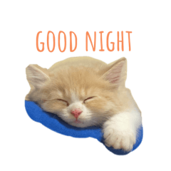 [LINEスタンプ] momokichiiiii