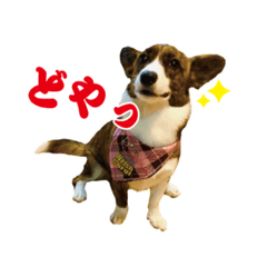 [LINEスタンプ] ぷりぷりうーたん(ときどき嵐と柊)