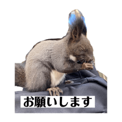 [LINEスタンプ] 僕の好きな合言葉