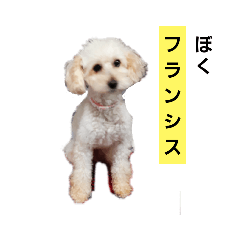 [LINEスタンプ] watawatayan style