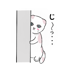 [LINEスタンプ] 猫橋すももと猫橋もち丸