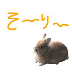 [LINEスタンプ] うさぎキラ✨3