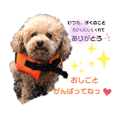[LINEスタンプ] はっちゃん❤