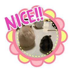 [LINEスタンプ] ハムず 3