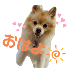 [LINEスタンプ] しょくぱんとひじき
