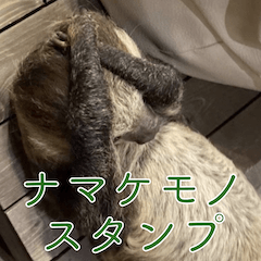 [LINEスタンプ] ナマちゃん スタンプ
