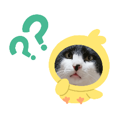 [LINEスタンプ] サスケくん3
