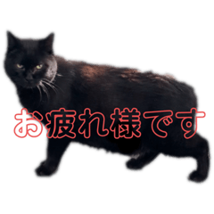 [LINEスタンプ] 売上は100%君たちのご飯代だ！