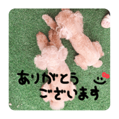 [LINEスタンプ] るんろーこむあず。