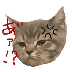 [LINEスタンプ] 僕はマヨネーズ