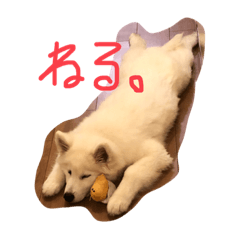 [LINEスタンプ] しろもふず2