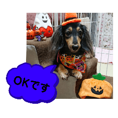 [LINEスタンプ] ダックス あんじゅ★一言★敬語