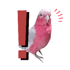 [LINEスタンプ] モモイロインコのミルキー2