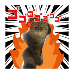 [LINEスタンプ] じゃじゃまると飼い主♂♀