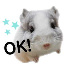 [LINEスタンプ] Matthew...
