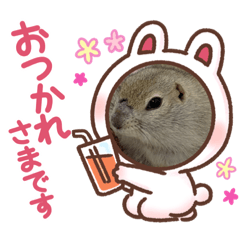 [LINEスタンプ] 小太郎のいる生活