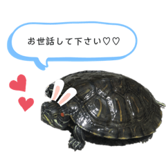 [LINEスタンプ] シゲちゃんのスタンプ