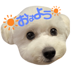 [LINEスタンプ] ウタの日常スタンプ