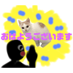 [LINEスタンプ] いえにいるねこ