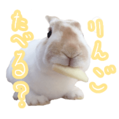 [LINEスタンプ] ミニレッキスのおからくん
