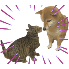 [LINEスタンプ] L＆S 2020