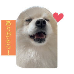[LINEスタンプ] ぎんちゃんとかえちゃん