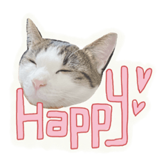 [LINEスタンプ] 我が家のアニマルず