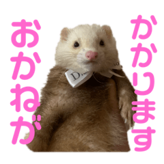 [LINEスタンプ] フィリップのスタンプ①