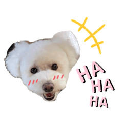 [LINEスタンプ] 我が家のばにらちゃんスタンプ